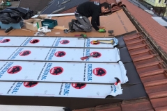 d174ac51-7ad6-4753-8397-2c9eaf8ba167